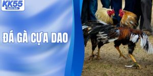 Đá Gà Cựa Dao - Trận Đấu Kịch Tính Và Đầy Bất Ngờ
